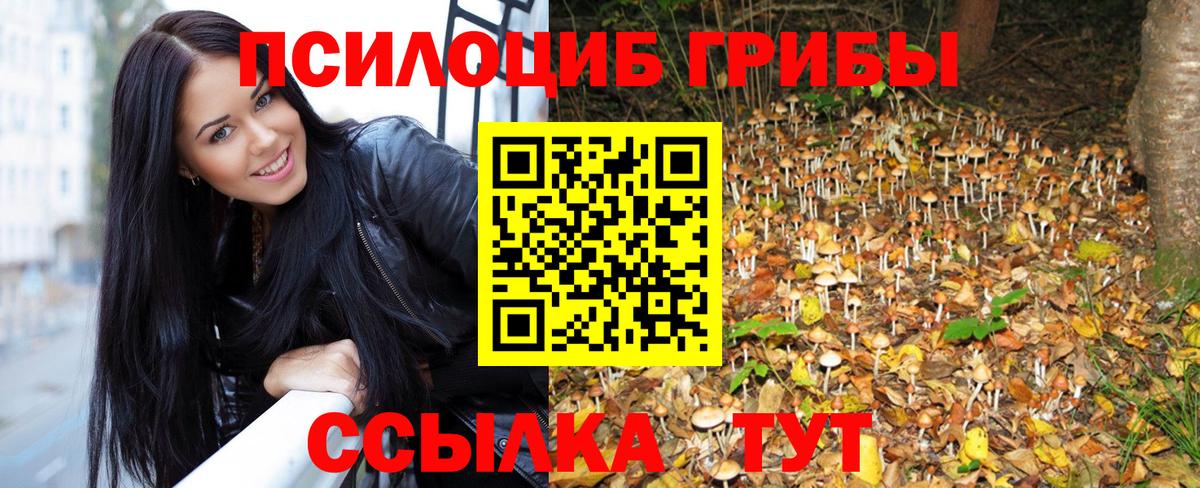 Псилоцибиновые грибы MAGIC MUSHROOMS  Вход с VPN  Анапа 